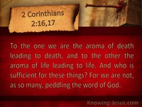 Life Centers In Christ